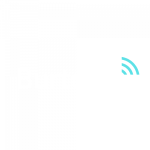 logo-light-burtcom